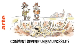 Comment devenir un beau fossile ?