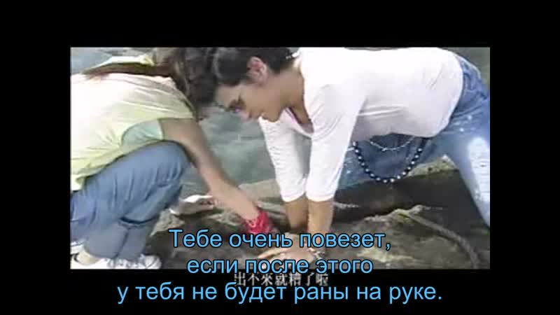 Лаванда 2, Lavender 2 пузырёк лаванды