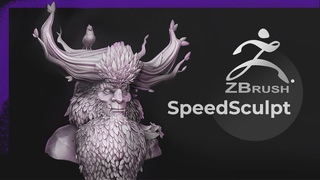 Speed sculpt in Zbrush  - Fantasy forest Character