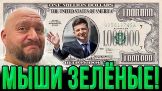 Зеленский в шоке! Добкин снова порвал эфир: “Вы мыши зелёные!“