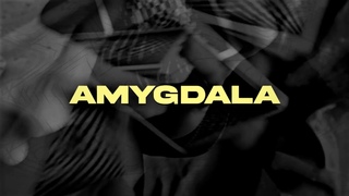 AMYGDALA | Cardistry by Tobias Reif