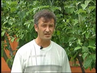 плодовые деревья - яблони, защита от вредителей
