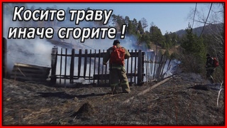 Горящая трава опасна