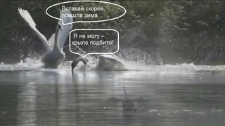 Песня которая вас не отпустит до последней минуты