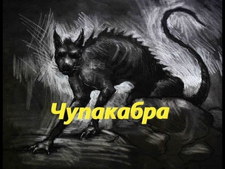 Чупакабра
