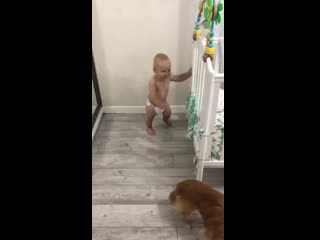 Тимофійко