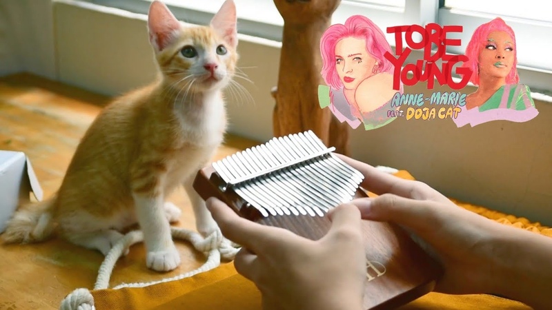 Anne Marie To Be Young feat. Doja Cat( Kalimba cover by Fish the