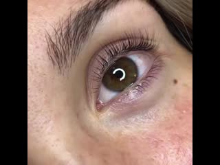 daryadear_lashmaker+