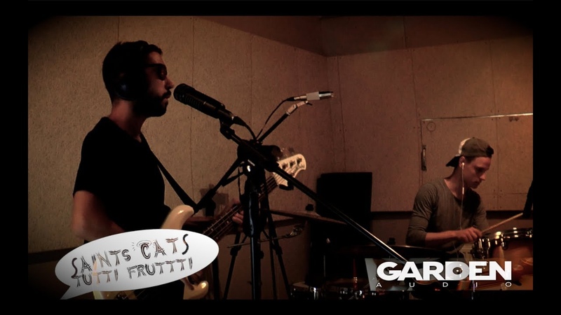 Saints Cats Funky Frutti ( Studio