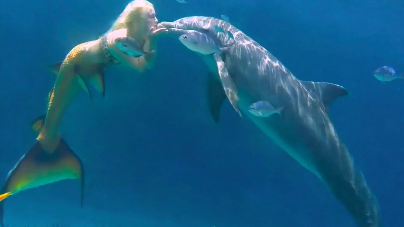 Mermaid Melissa Swimming With Her Dolphin