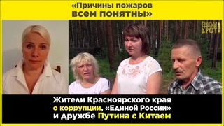 Про пожары, лес, Китай и Путина с Единой Россией