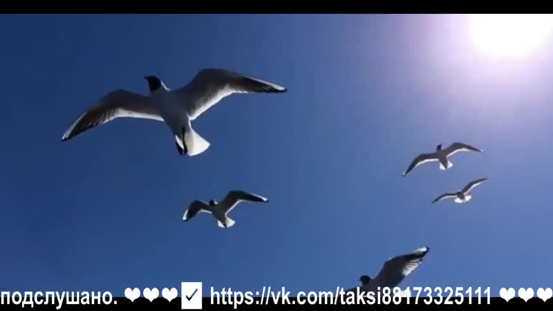 ЧАЙКИ НЕ КРИЧИТЕ, СЕРДЦУ