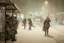 №27 Оля Петрова : профиль, фото, статус - ВКонтакте