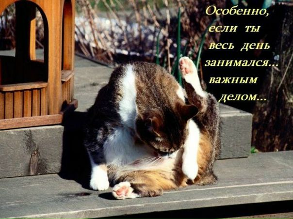 №12, Андрей Мартьянов, Снежинск №12, Андрей Мартьянов, Снежинск