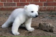 №23 Бая Очирова 16.10.1990: профиль, фото, статус - ВКонтакте