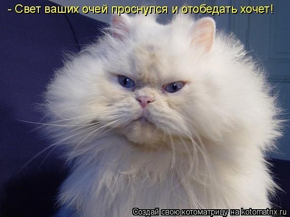 №70, Роман Алексеев, 45 лет №70, Роман Алексеев, 45 лет