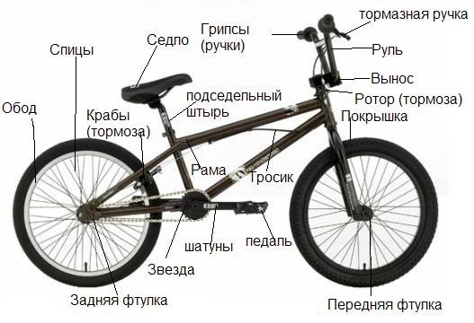 №1, Геля Сабина №1, Геля Сабина