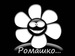 Роман Даньков фотография #12 (источник - https://vk.com/id116923247)