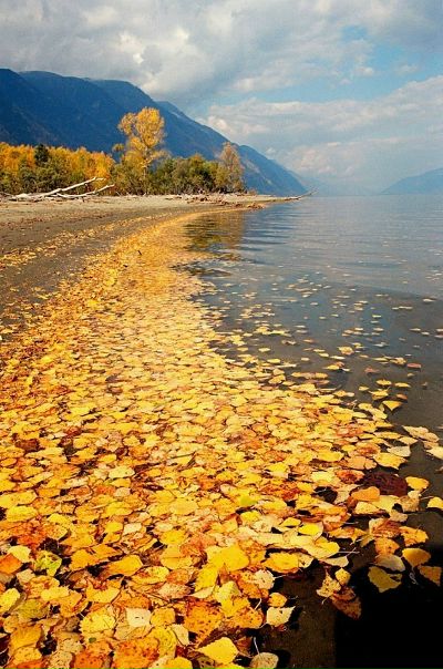 №159, Ирина Щербак, 29 лет, Киев №159, Ирина Щербак, 29 лет, Киев