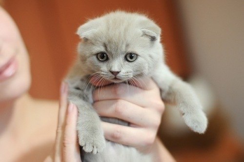 Евгений Евгений | 