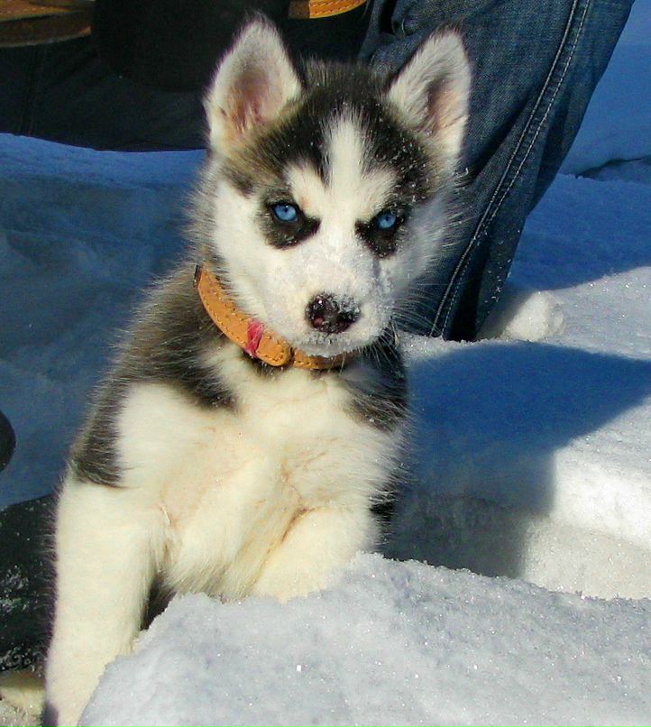 Андрей Власов | Хабаровск