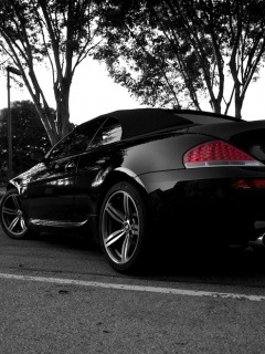 №155, Алёна Казанцева, 34 года, Мурманск №155, Алёна Казанцева, 34 года, Мурманск