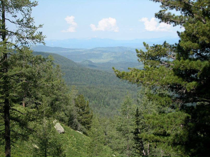 Юрий Цурпал | Сургут