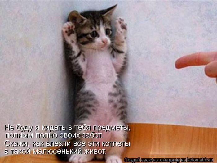 Наталья Карпова | Санкт-Петербург