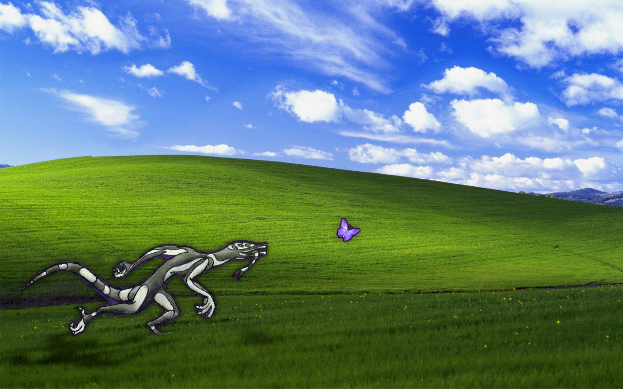 Павел Севрикеев | Ярославль