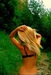 Олечка Труева фотография #12