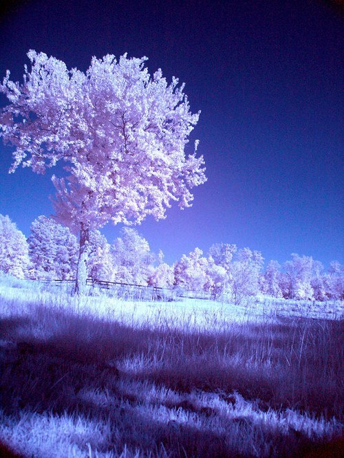 Александр Калягин | Москва