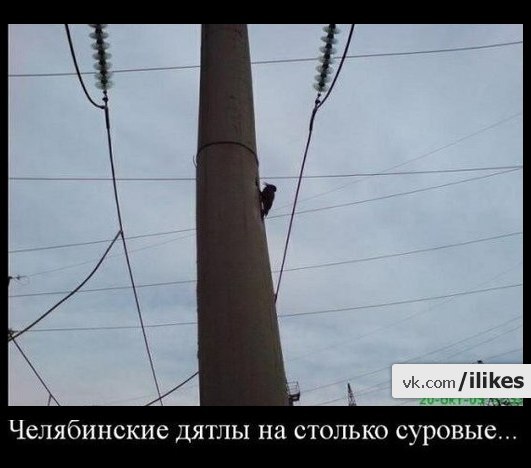 Сергей Звягинцев | Ольховатка