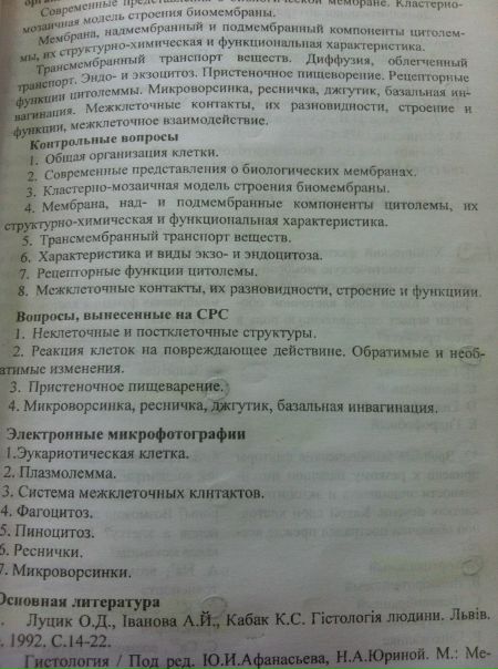 №4, Юля Стасий №4, Юля Стасий