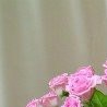 №74, Версалия Соколова, 35 лет №74, Версалия Соколова, 35 лет