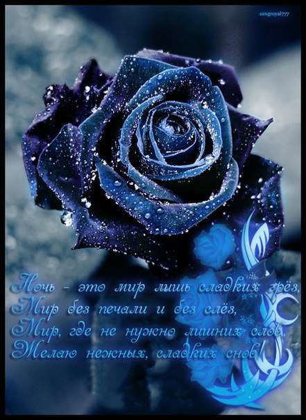 №82, Татьяна Кутуть, 55 лет, Северодонецк №82, Татьяна Кутуть, 55 лет, Северодонецк