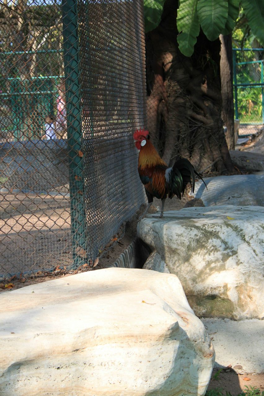Ирина Паславичуте | Санкт-Петербург