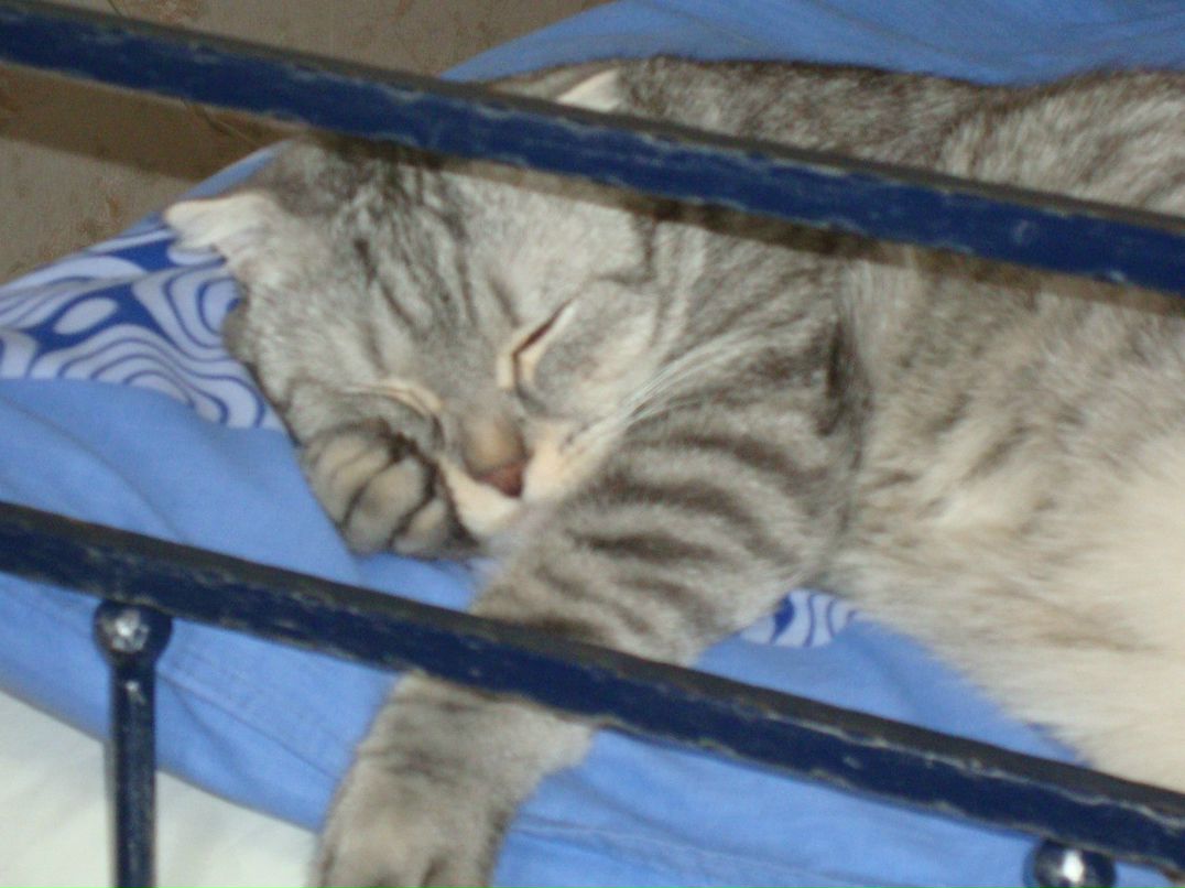 Алевтина Панкова | Мегион