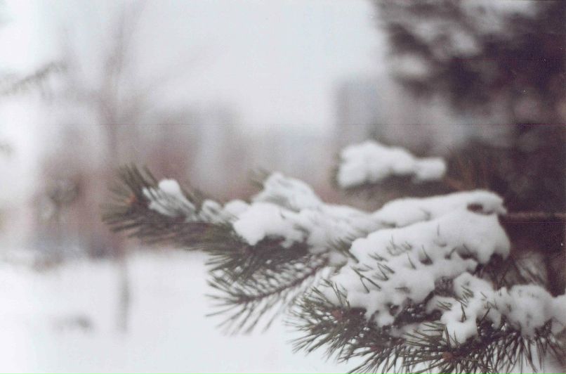 Илья Азаров | Los Angeles