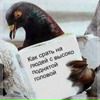 Фотография Иван Субботин