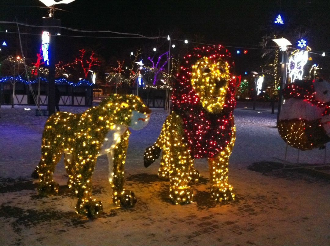 Юля Шепеленко | 