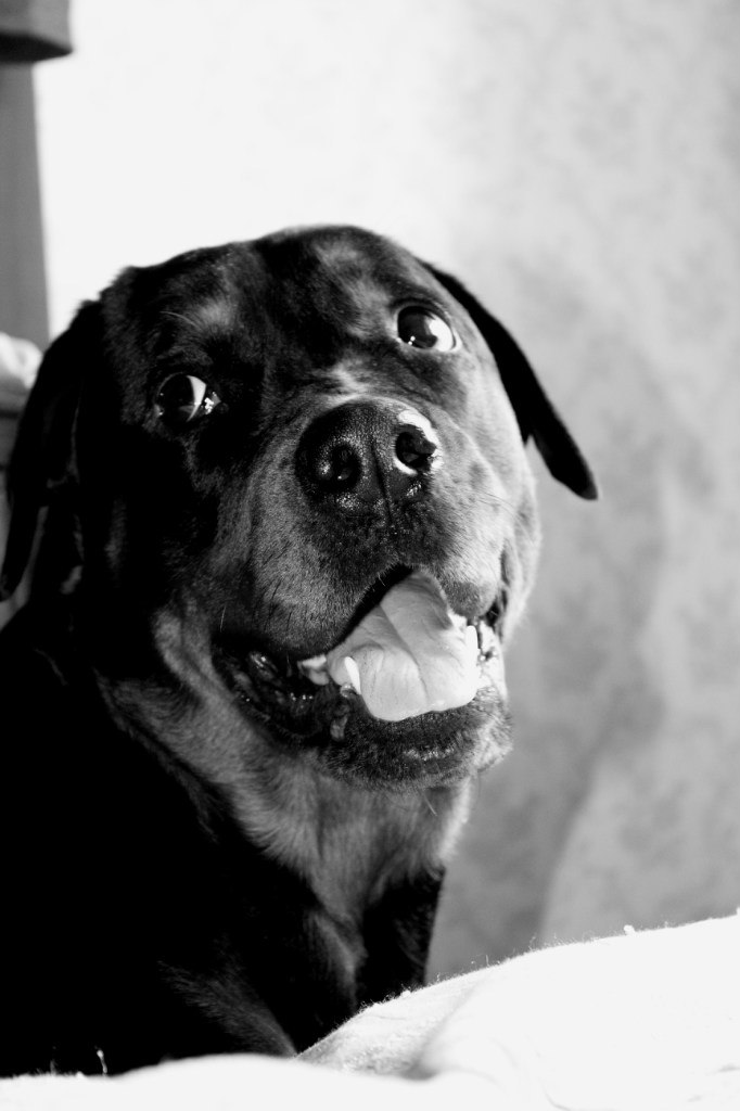 Olesya Lesenok | Нижний Новгород