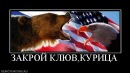 Фотография Рыбакова Андрея