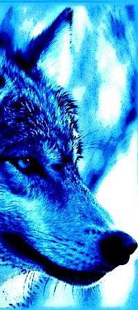 Владимир Лабута ———————————————————————————————— | Новая Одесса