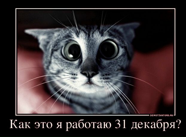 №7, Егор Кутинов №7, Егор Кутинов