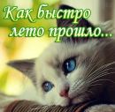 №23 Надежда Косицына 21.07.1999: профиль, фото, статус - ВКонтакте