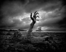 Фотография Сюды Туды