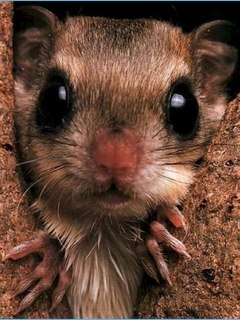 Дима Ворожцов | Павлоград