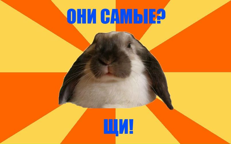 Андрей Ползунов | 