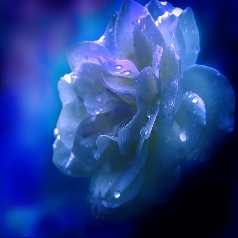 Наиль Сайфетдин | Москва