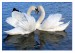 Юлия Кухаренко фотография #16